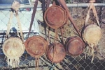 leather covered canteens - custom leather